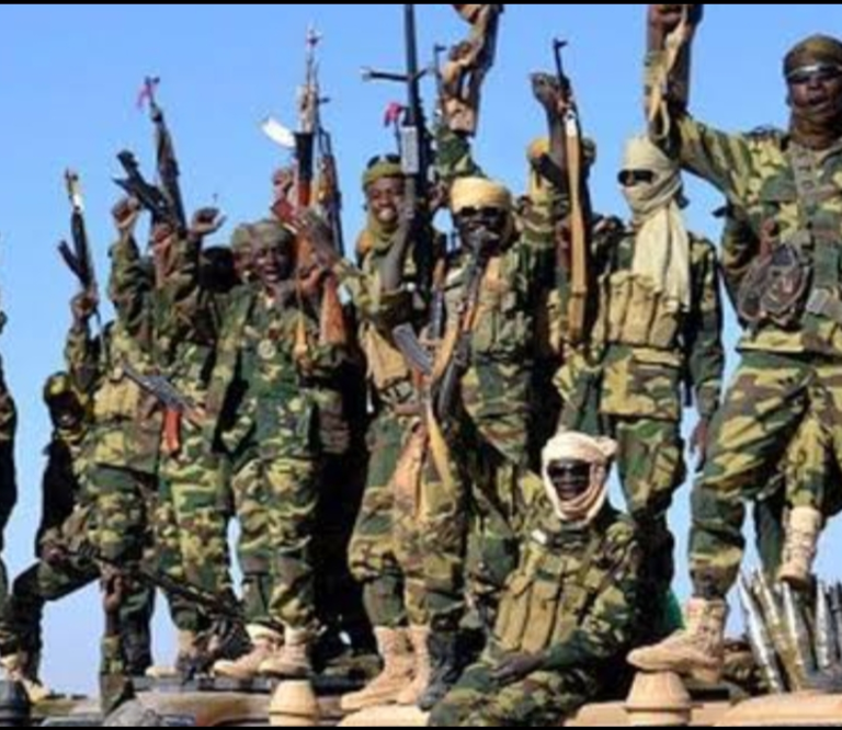BOKO Haram Strikes Again, Kills Soldiers