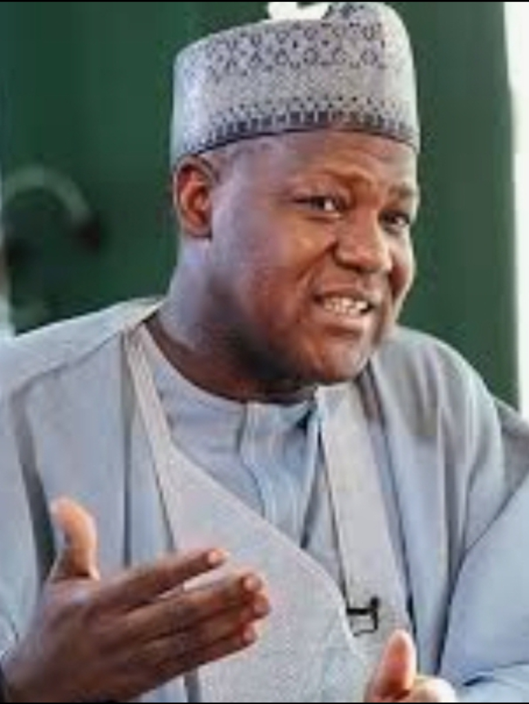 Reconsider Tinubu’s Tax Reform Bill, Dogara To Northern Elders